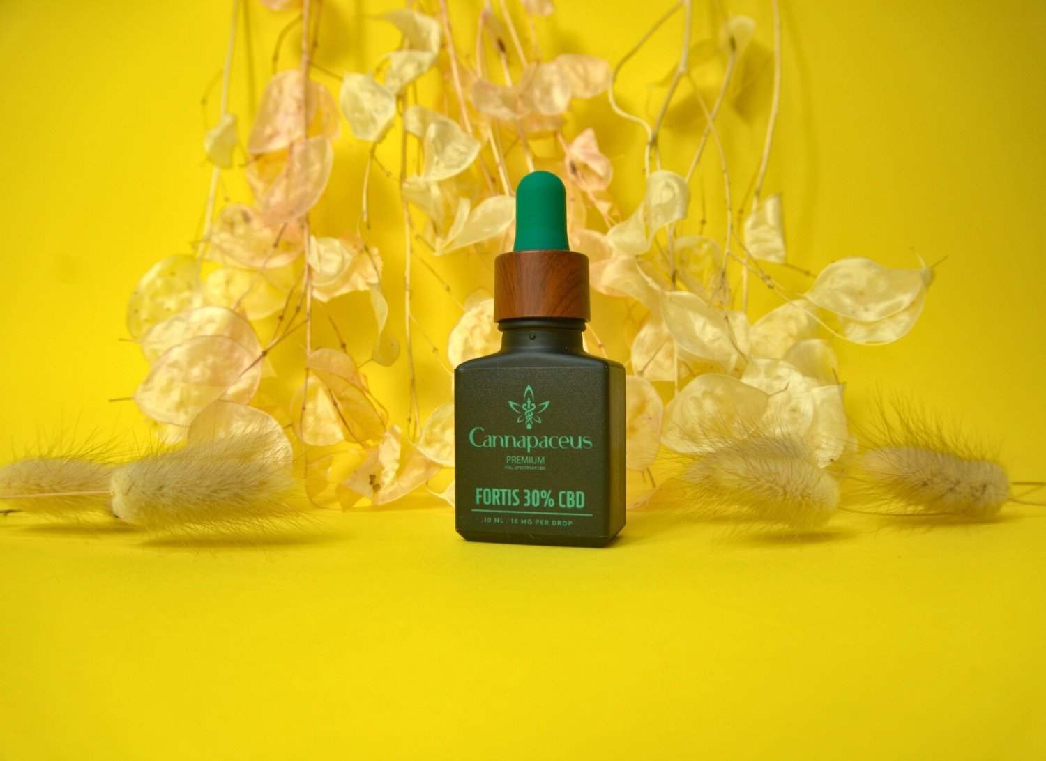 Ar CBD produktai saugūs ir veiksmingi nuolatiniam skausmo malšinimui?